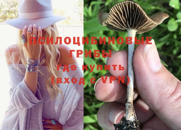дживик Кукмор