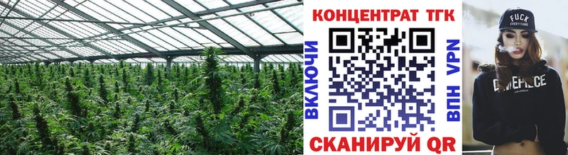 kraken ТОР  Шенкурск  ТГК жижа 