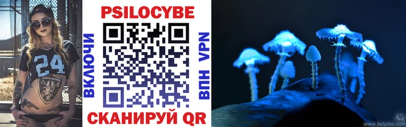 blacksprut как войти  Шенкурск  Галлюциногенные грибы ЛСД 